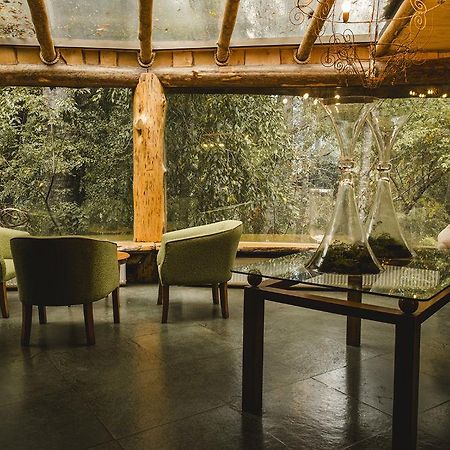 Huilo Huilo Montana Magica Apartment Panguipulli Luaran gambar